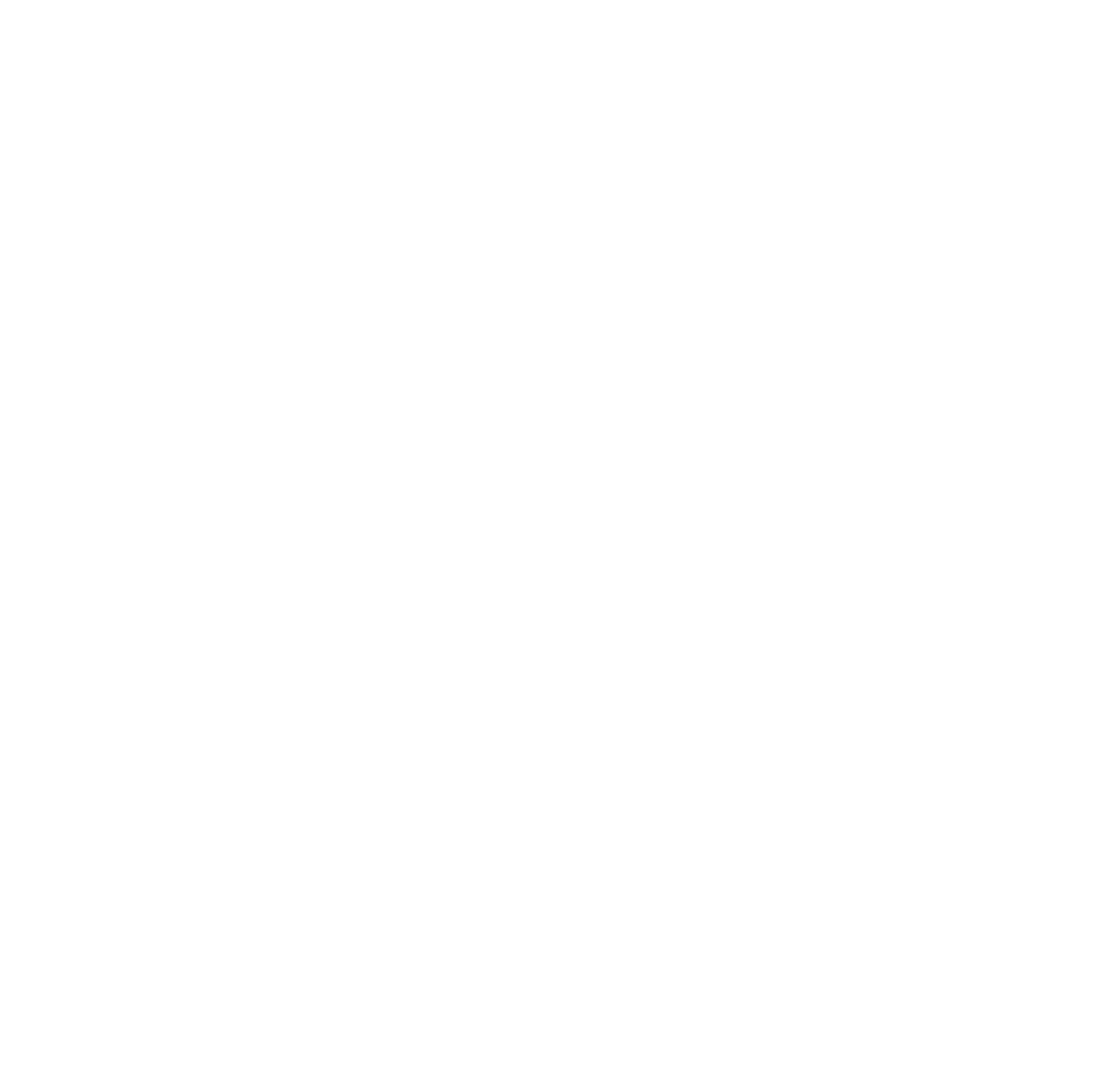 Flyin'Festival